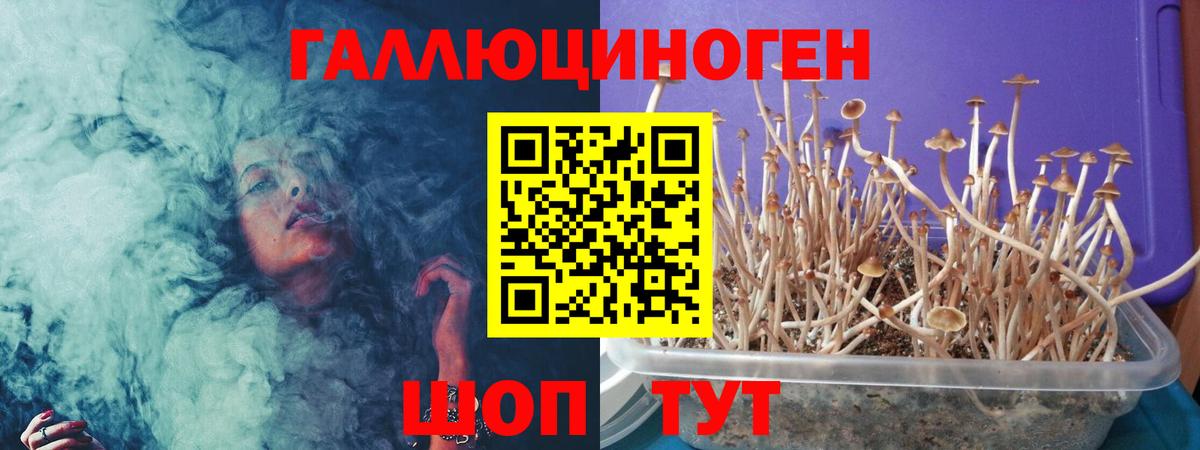 Валуйки  Псилоцибиновые грибы MAGIC MUSHROOMS  Псилоцибиновые грибы ЛСД  Вход с VPN 