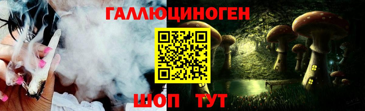 Галлюциногенные грибы Psilocybine cubensis Валуйки