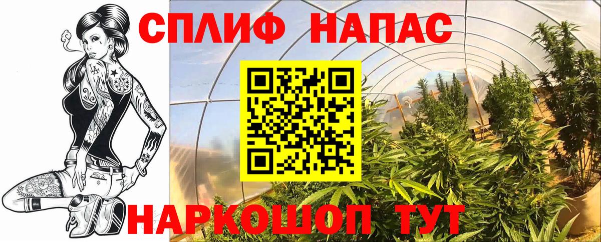 Шишки марихуана SATIVA & INDICA  Конопля тримм  Вход с VPN  Валуйки  Бошки Шишки ГИДРОПОН 